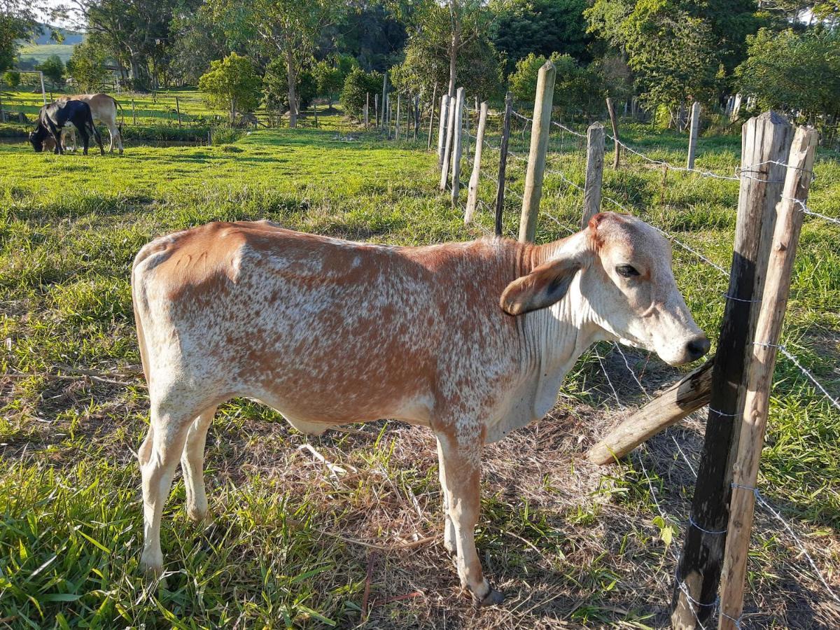 Pousada Roseira Lagoinha Sp Exterior foto